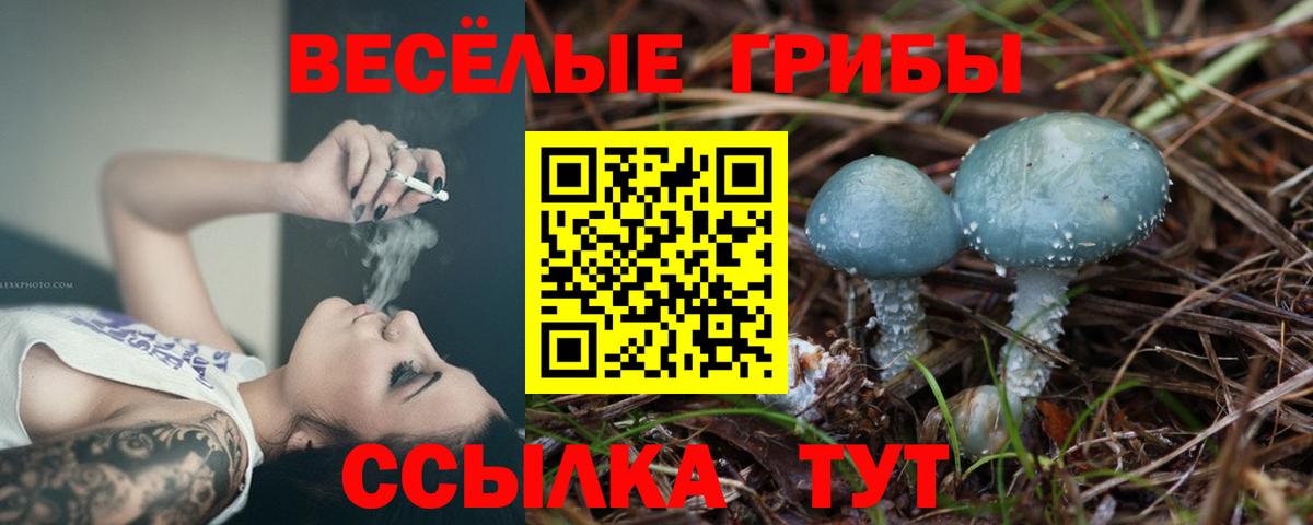 Кимовск  Галлюциногенные грибы GOLDEN TEACHER  купить наркоту  Вход с VPN 