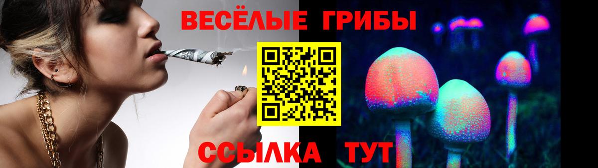 Галлюциногенные грибы мицелий Кимовск